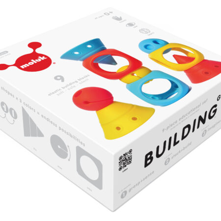 Развивающий комплект игрушек BUILDING GENIUS